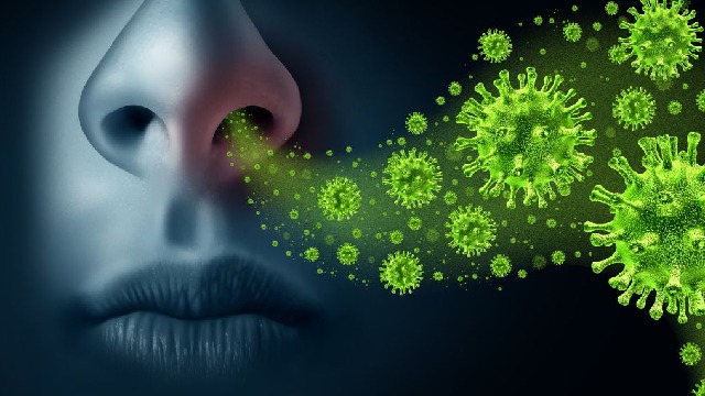 Waspada Virus Influenza A Mulai Menyerang Warga