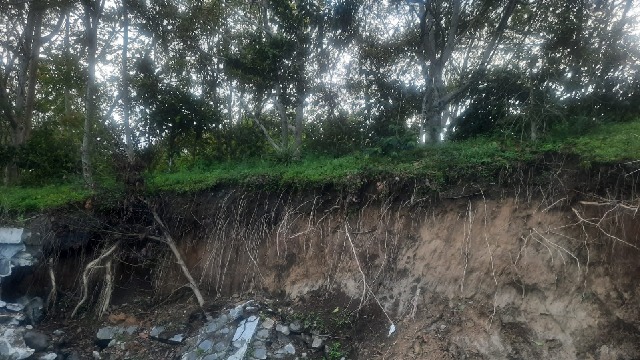 12.638 Hektare Kebun Kopi di Bener Meriah Rusak Akibat Banjir Bandang