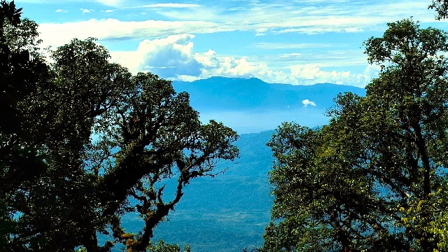 Sejuknya Gunung Seulawah Agam: Pelarian Tenang di Hamparan Hijau Aceh Besar