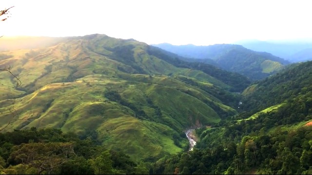 Savana Gunong Taleuk: Hamparan Hijau yang Membuat Pidie Terasa Lebih Hidup